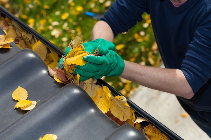 Business Gutter Cleaning in Denver County, CO