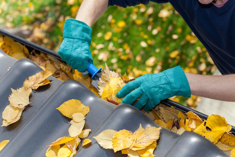 Business Gutter Cleaning in Denver County, CO