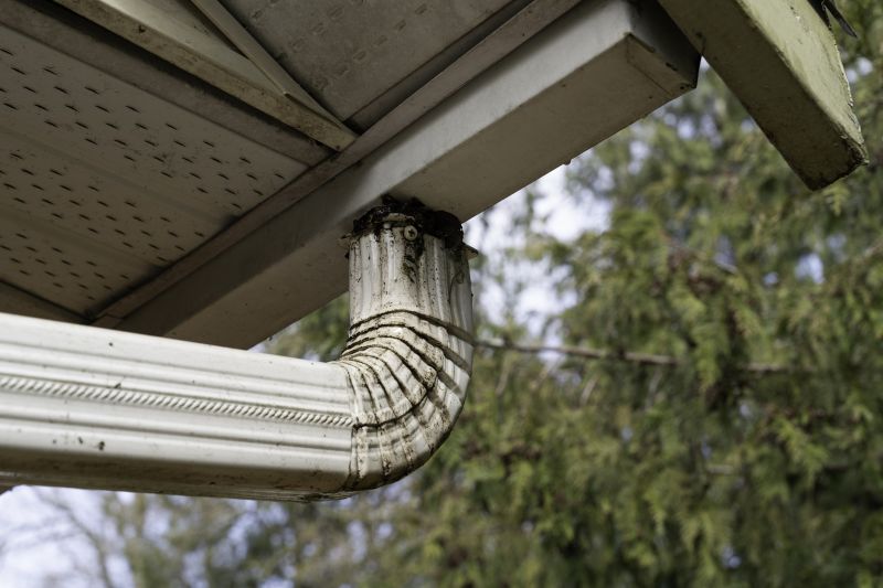 Eavestrough Clearing in Annapolis, MD