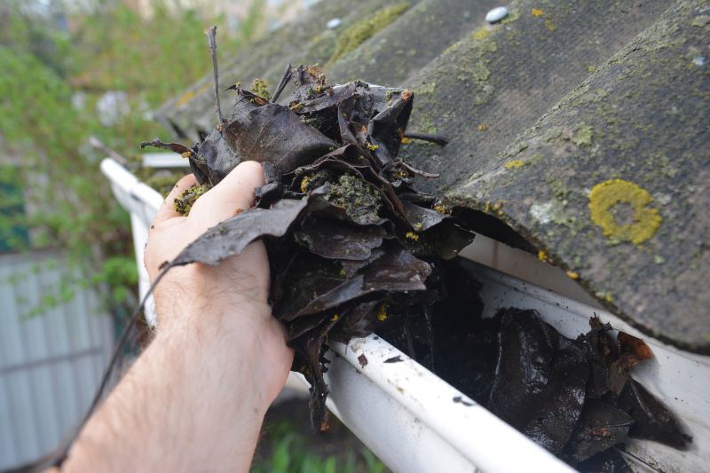 Roof Gutter Cleaning in Morris County, NJ