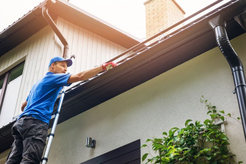 Roof Gutter Cleaning in Monmouth County, NJ